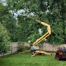 How Our Tree Care Process Works  in  Sanborn, NY