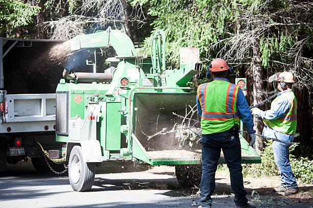 Grass Overseeding in Sanborn, NY